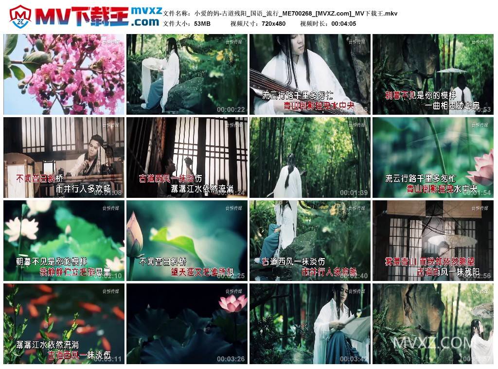 小爱的妈-古道残阳_国语_流行_ME700268